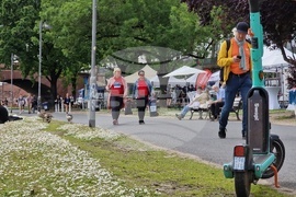 Германия - Франкфурт - изглед - евроизбори - ежедневие