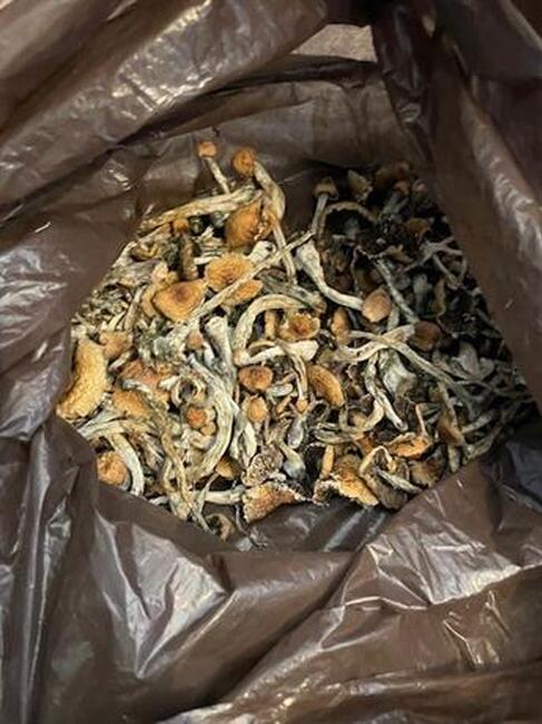 Двама са задържани при спецакция на СДВР срещу наркоразпространението