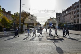 Благоевград - медици - протест