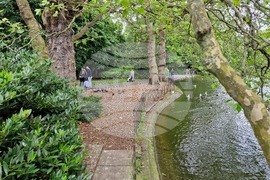 Ирландия - Дъблин - изглед - евроизбори - ежедневие