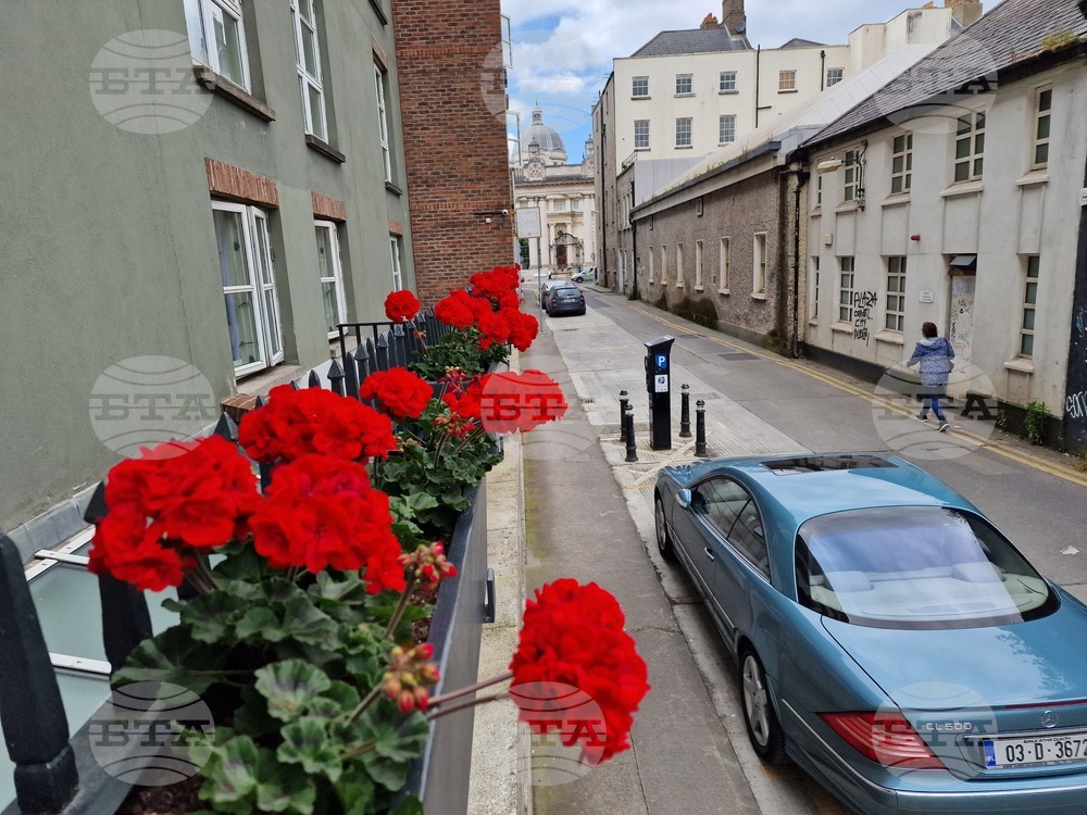 Ирландия - Дъблин - изглед - евроизбори - ежедневие