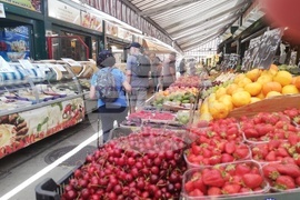 Австрия - Виена - изглед - евроизбори - ежедневие