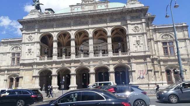 Четиридесет процента от новородените деца във Виена не са австрийски граждани, сочат данни на националната статистическа служба