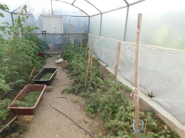 Баща и син са задържани за производство и притежание на наркотици