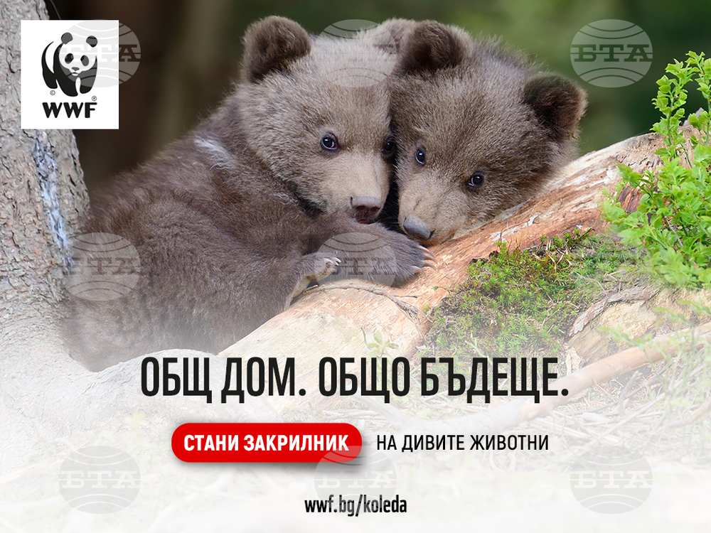 Populations of Number of Endangered Animal Species in Bulgaria at Risk – WWF Country Report