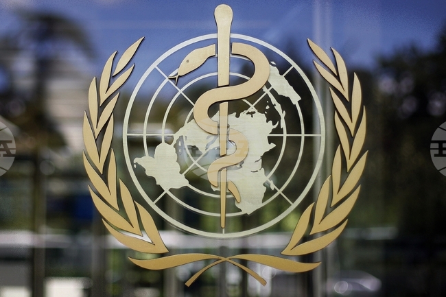 Изкуството има положителен ефект върху здравето и качеството на живот, установи британско проучване