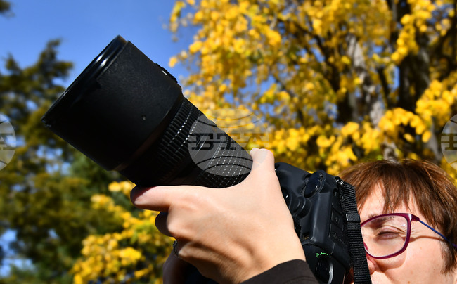 Фотоапарат на покойния папа Франциск бе продаден на търг за 6,5 милиона евро