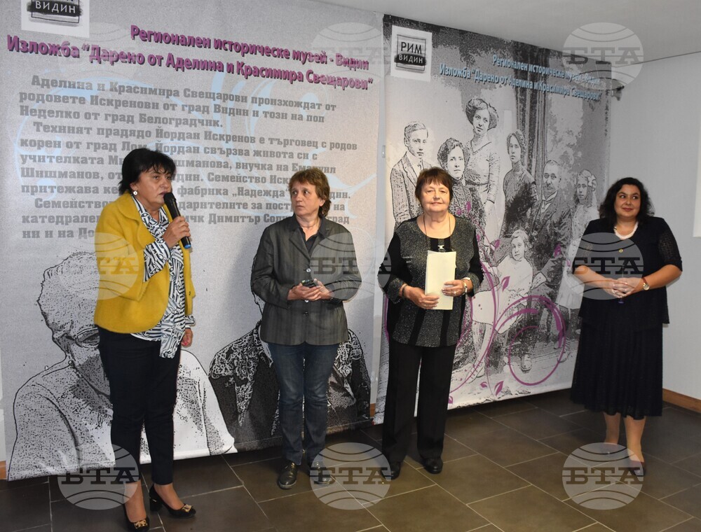 Видин - изложба