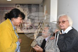 Видин - изложба