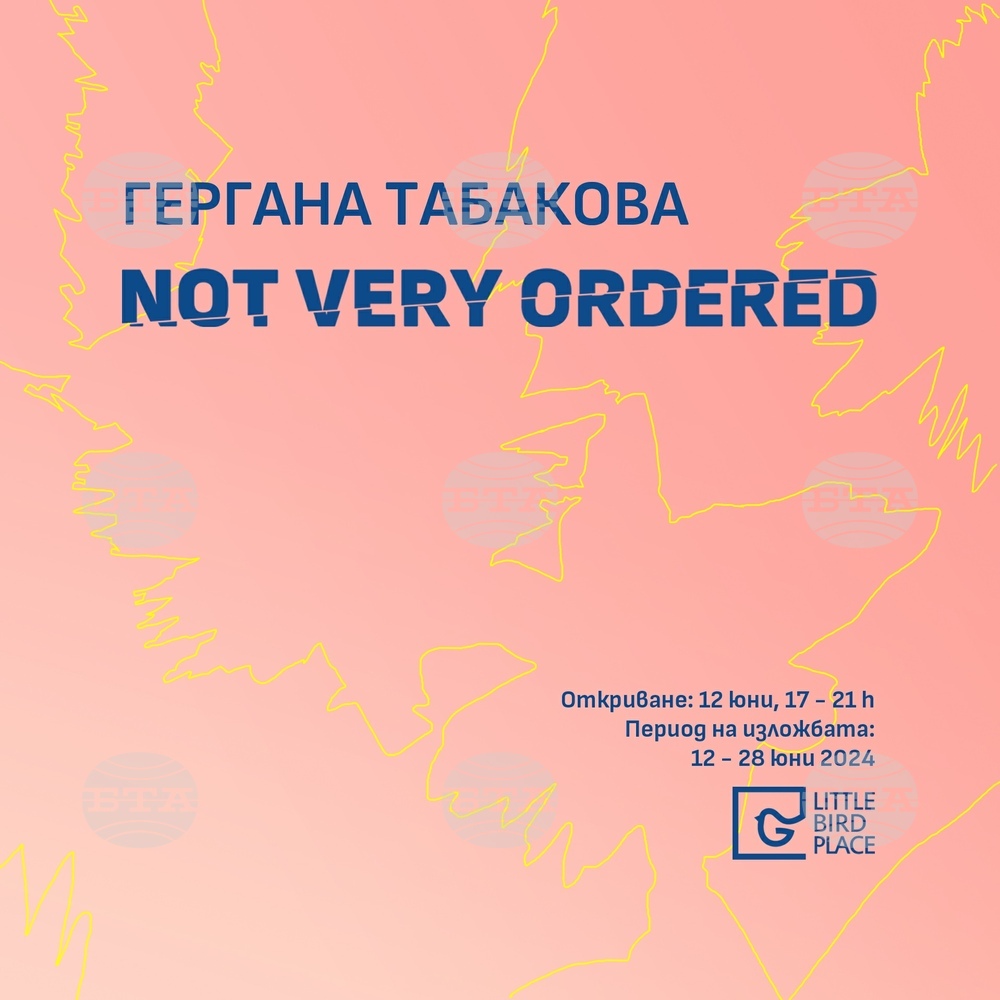 Gergana Tabakova's Art on View at Sofia's Little Bird Place Gallery
