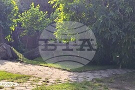 Хасково - буря - щети