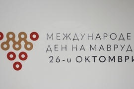 Конференция - "Международен ден на мавруда"