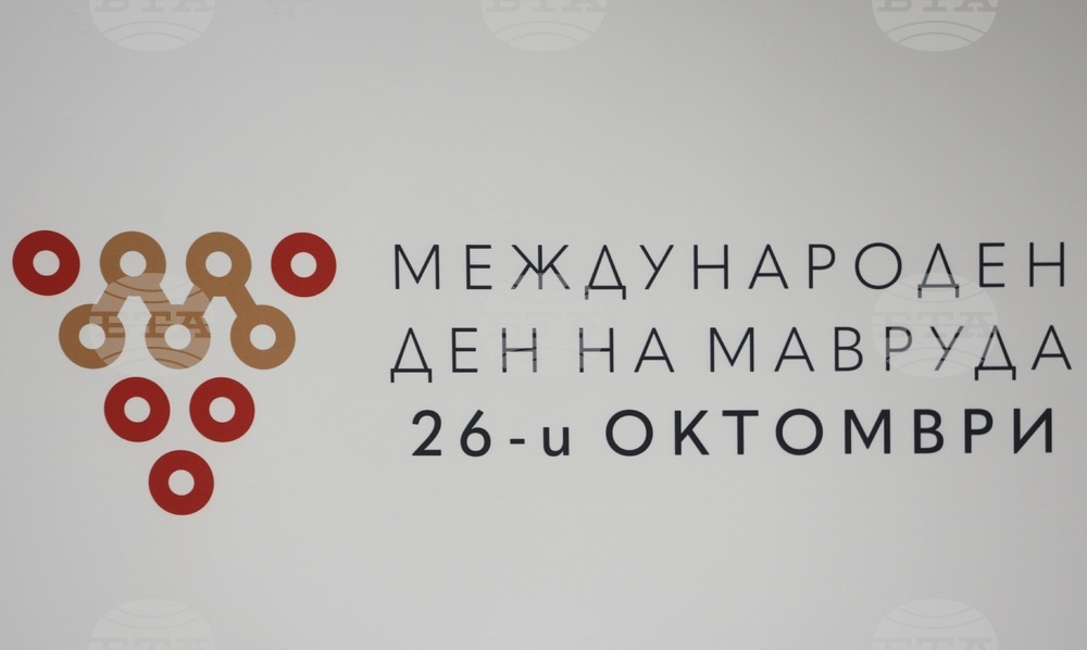 Конференция - "Международен ден на мавруда"
