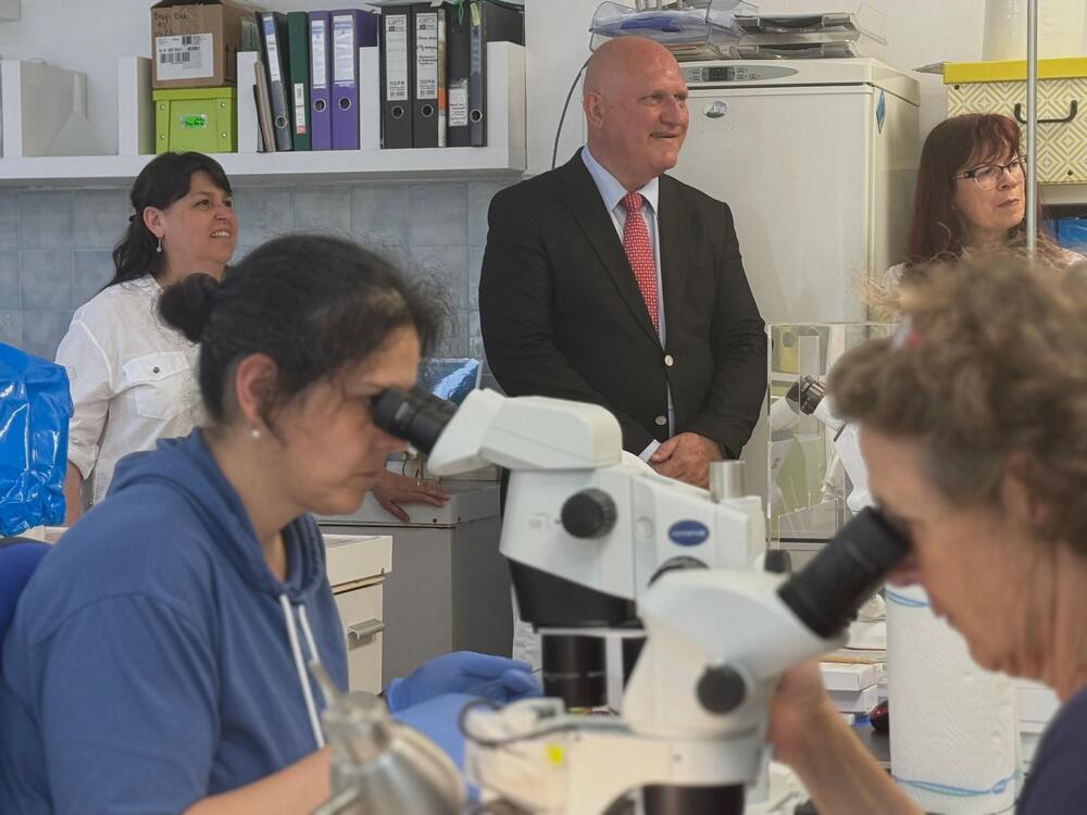 Министерство на образованието и науката: Ученически екскурзии ще се организират само ако се посещават културно-образователни обекти