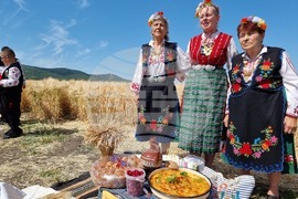 Село Търнава - жътвена кампания