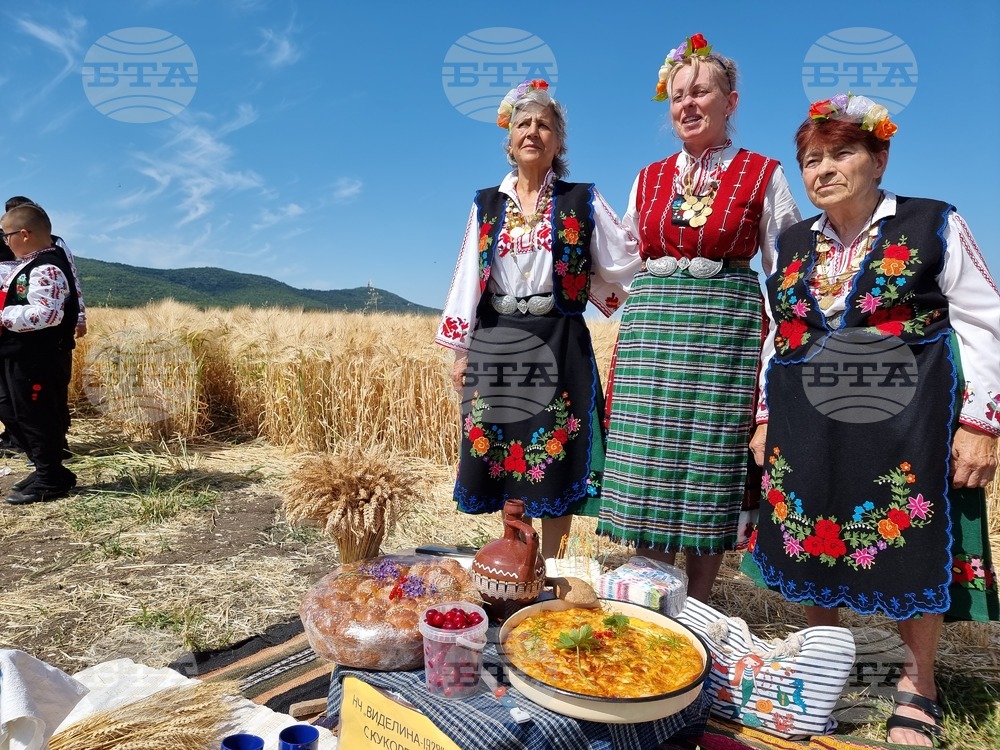 Село Търнава - жътвена кампания