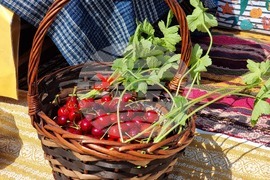 Село Търнава - жътвена кампания