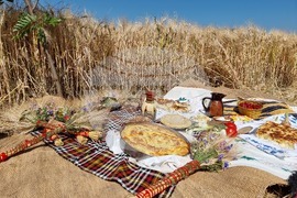 Село Търнава - жътвена кампания