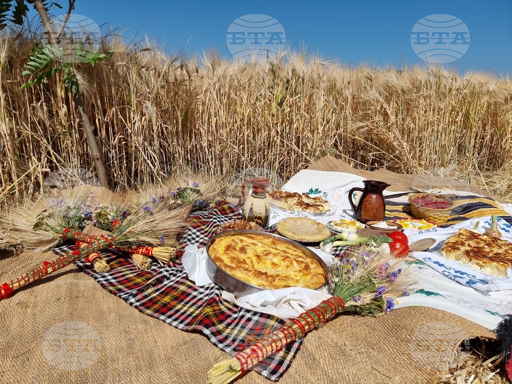 Село Търнава - жътвена кампания