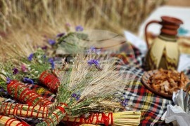 Село Търнава - жътвена кампания