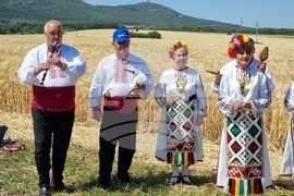 Село Търнава - жътвена кампания