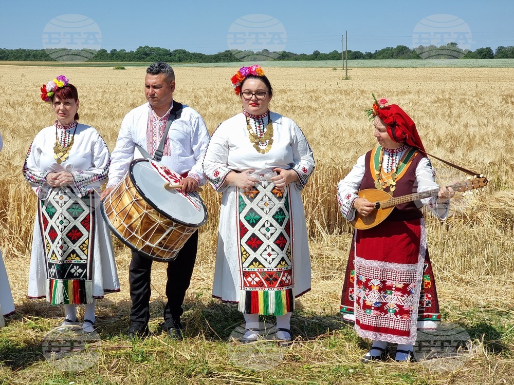 Село Търнава - жътвена кампания