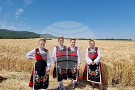 Село Търнава - жътвена кампания