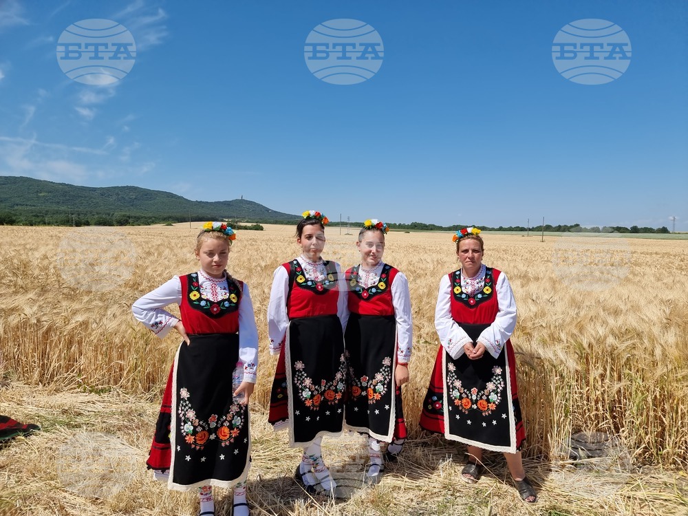 Село Търнава - жътвена кампания