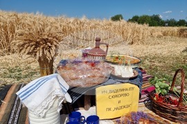 Село Търнава - жътвена кампания