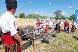 Село Търнава - жътвена кампания
