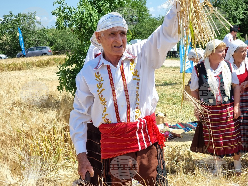 Село Търнава - жътвена кампания