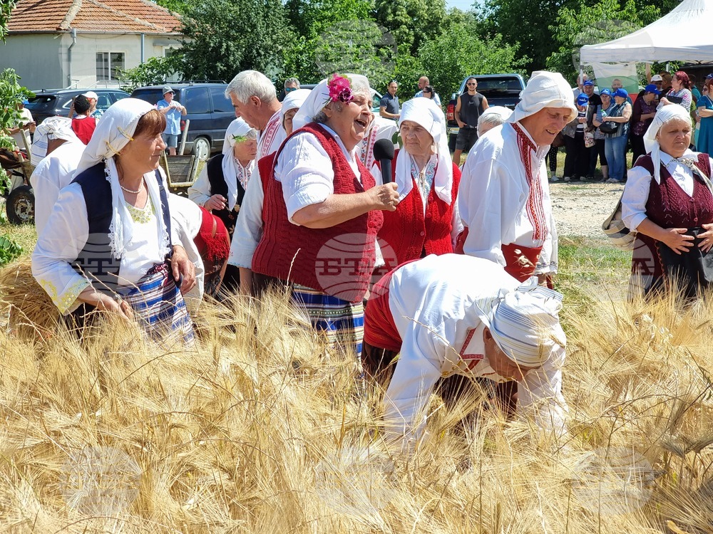 Жътвената кампания в Ямболско започва с пресъздаване на народния обичай "зажънване" и водосвет