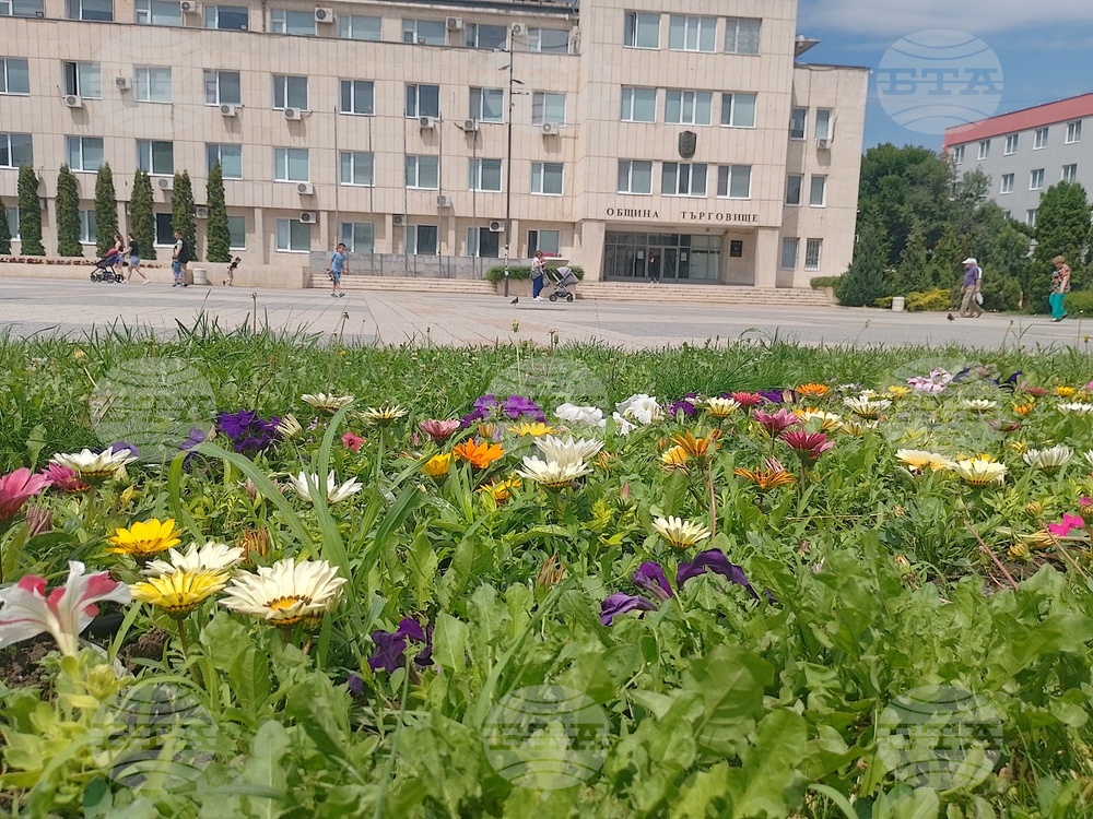 Община Търговище обяви обществена поръчка за ремонта на спортна зала „Иван Ангелов“