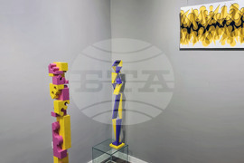 Варна - Петко Недялков - изложба