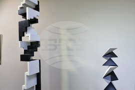 Варна - Петко Недялков - изложба