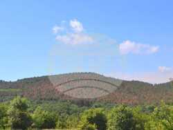 Снимка: Министерство на земеделието и храните