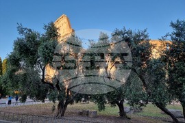 Италия - Европейски парламент - избори