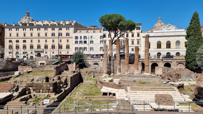 Голямо дърво падна в Рим и рани двама души