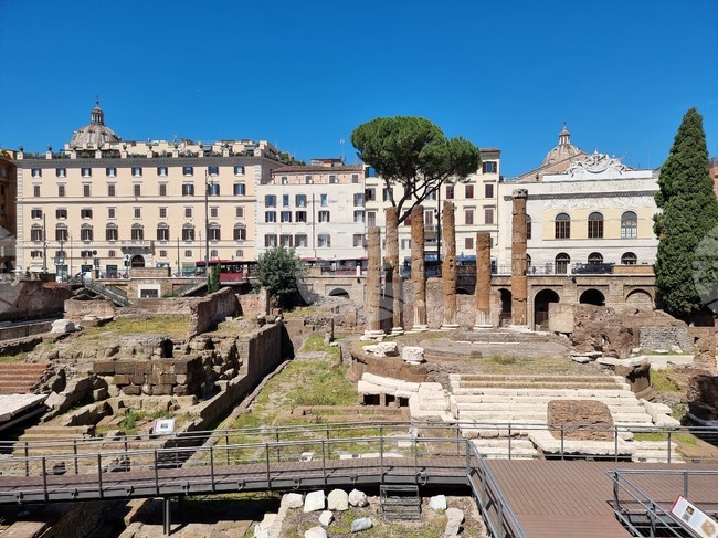 Голямо дърво падна в Рим и рани двама души