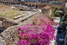 Италия - Европейски парламент - избори