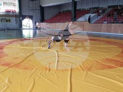 Снимка: Община Ловеч