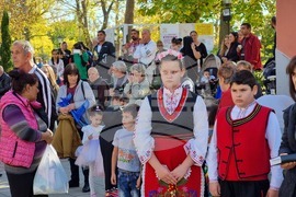 Болярово – празник на общината - Димитровден