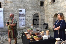 Видин - „Пътят на лозата и виното от древността до наши дни" - изложба