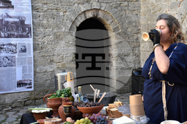 Видин - „Пътят на лозата и виното от древността до наши дни" - изложба