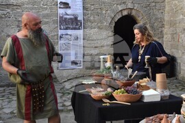 Видин - „Пътят на лозата и виното от древността до наши дни" - изложба