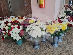 Снимка: Община Разград