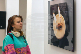 Полски институт - съвместна изложба