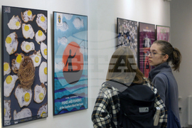 Полски институт - съвместна изложба