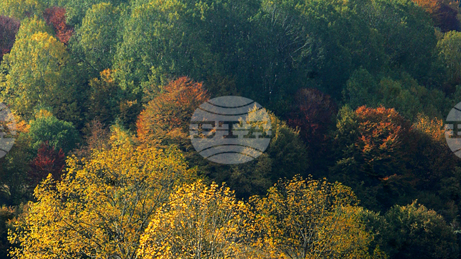 Във високите части на планините е облачно и мъгливо, съобщиха от Планинската спасителна служба на БЧК 