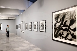 Алберто Гарсия-Аликс - изложба